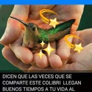 Meet your Posher, Lorena